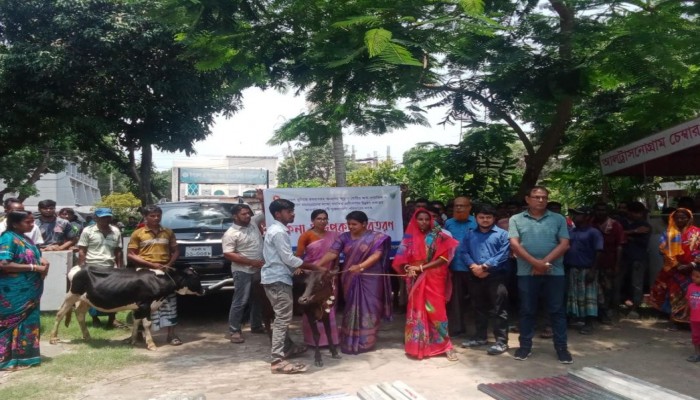 ক্ষুদ্র নৃগোষ্ঠীর আর্থ সামাজিক ও জীবন মানোন্নয়নের লক্ষ্যে বদলগাছীতে বকনা বাছুর বিতরণ