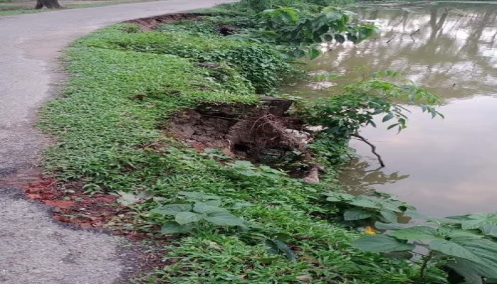 বোয়ালখালী ইমামুল্লার চর সড়ক পুকুরে পেটে