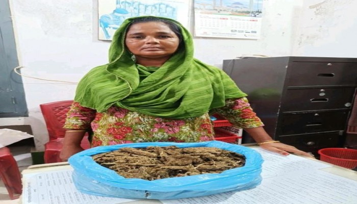 ত্রিশালে মাদক ব্যবসায়ী মিনা গাজাসহ গ্রেপ্তার