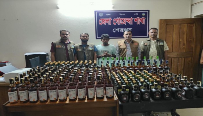শেরপুরের নালিতাবাড়িতে ২৫১ বোতল ভারতীয় মদসহ ১ মাদক কারবারি আটক