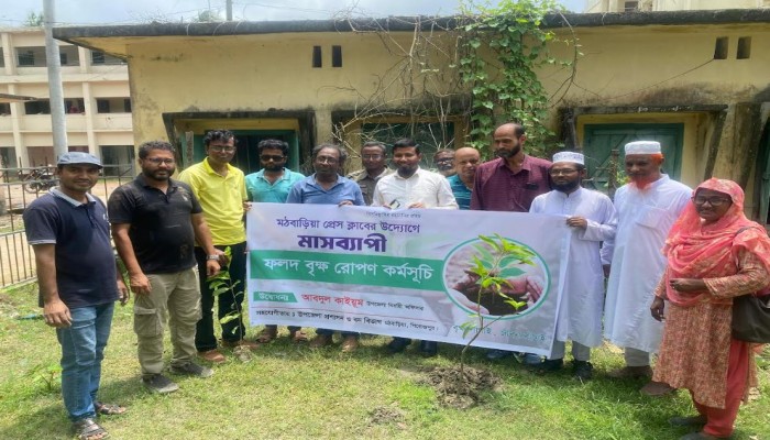 মঠবাড়িয়া প্রেসক্লাবের উদ্যোগে মাস ব্যাপি ফলদ বৃক্ষরোপন