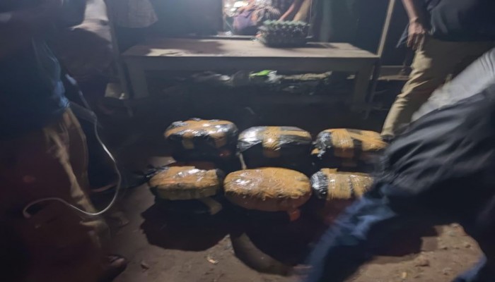 নবীনগরে র‍্যাবের অভিযান-আলিয়াবাদ গোল চত্বর থেকে ৩০ কেজি গাঁজা উদ্ধার।