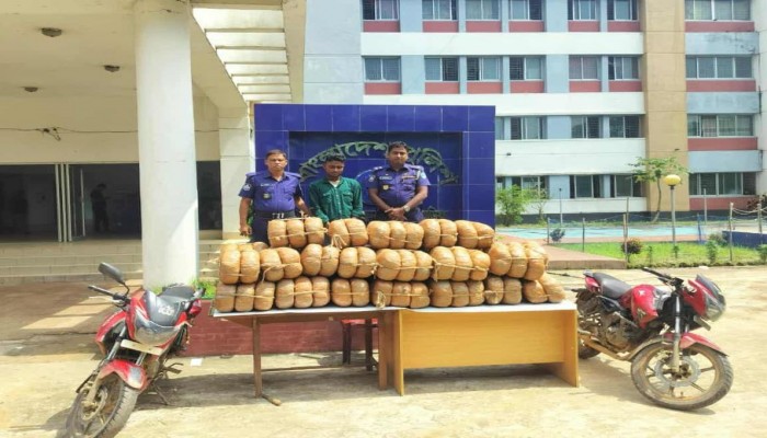 বিজয়নগরে বিপুল পরিমান গাঁজা সহ গ্রেফতার ১।