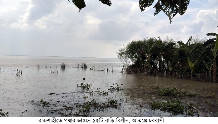 রাজশাহীতে পদ্মার ভাঙ্গনে ১৫টি বাড়ি বিলীন আতঙ্কে চরবাসী