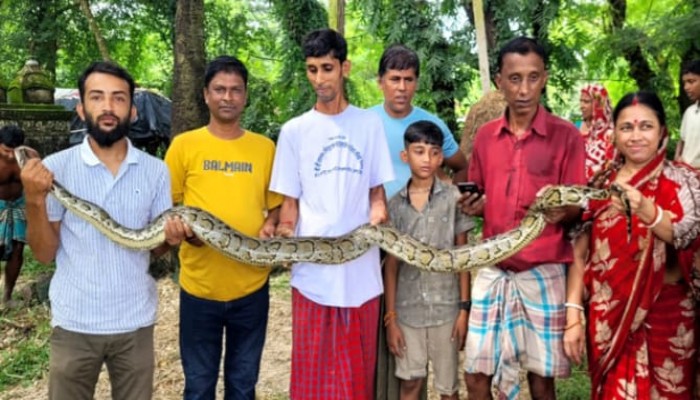 বোয়ালখালীতে মাছ ধরার ফাঁদে আটকে গেল অজগর