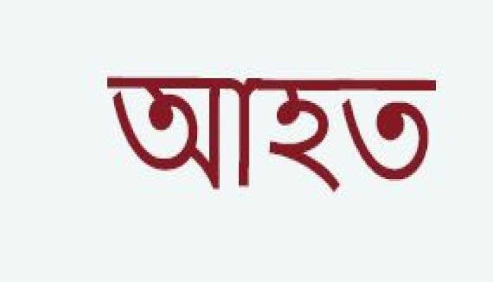 ঘোড়াঘাটে পুকুর দখলকে কেন্দ্র করে সংঘর্ষ, আহত ৪