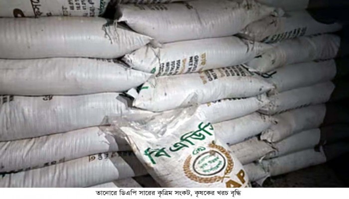 তানোরে ডিএপি সারের কৃত্রিম সংকট তৈরী করে কৃষকের কাছে বেশি দামে বিক্রির অভিযোগ