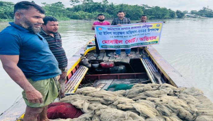 কাউখালীতে মা ইলিশ সংরক্ষণ অভিযানে ১৬ টি অবৈধ জাল উদ্ধার