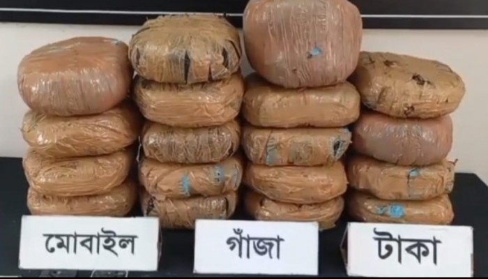 অভিনব কায়দায় পাচারকালে রাজশাহীতে বিপুল পরিমাণ গাঁজা সহ দুই মাদক কারবারি গ্রেফতার