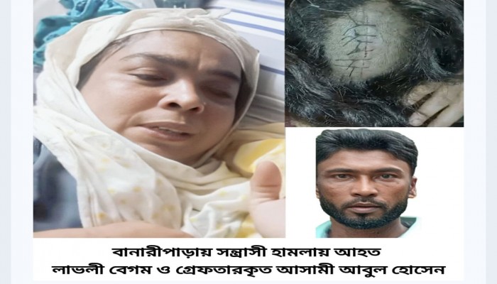 বানারীপাড়ায় বিধবা সৎ মাকে ভাড়াটিয়া সন্ত্রাসী দিয়ে