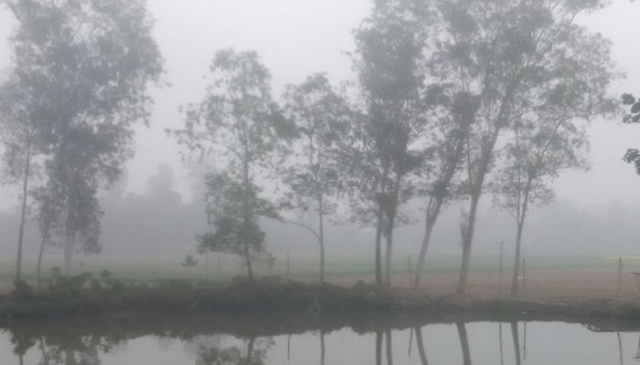 শীতের তীব্রতায় বিপর্যস্ত রায়গঞ্জের জনজীবন