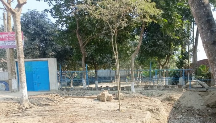 ত্রিশালে সরকারি জমি দখলের অভিযোগ, সাবেক ইউপি চেয়ারম্যানের বিরুদ্ধে তদন্তের আশ্বাস