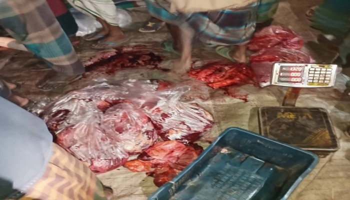 টাঙ্গাইলের গোপালপুরে ঘোড়া জবাই করে মাংস প্যাকেটজাত করার সময় আটক ৪
