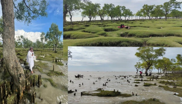 গুলিয়াখালী  যেখানে ঘাস কথা বলে সমুদ্র শোনে