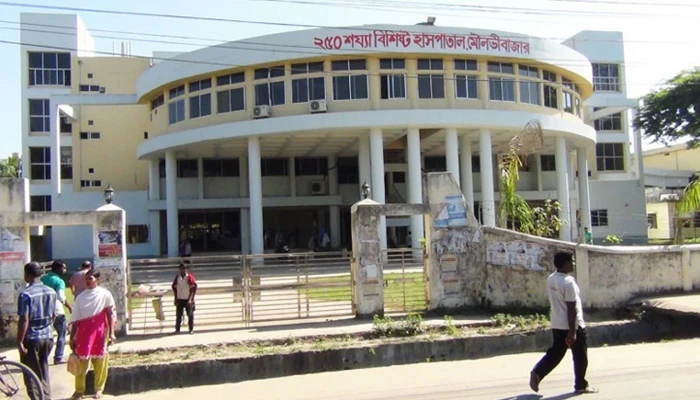 ছোটো ছেলের ছুরিকাঘাতে বাবার মৃত্যু, বাঁচাতে এসে বড় ছেলে হাসপাতালে