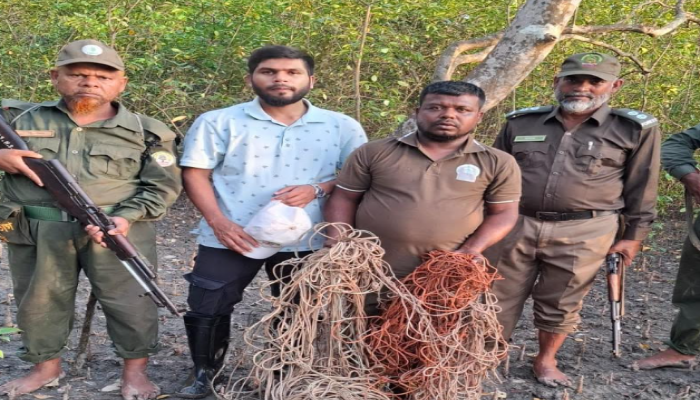 সুন্দরবনে ১৫ শ ফুট হরিণ ধরার ফাঁদ উদ্ধার