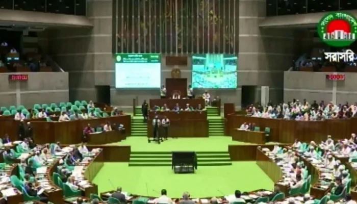 বিদ্যুৎ পরিস্থিতি মোকাবিলায় করণীয় নির্ধারণে সুপারিশে বিশেষ কমিটি গঠন