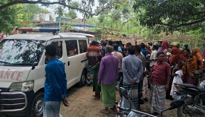 যৌতুকের দাবিতে গৃহবধূকে শ্বাসরোধে হত্যার অভিযোগ