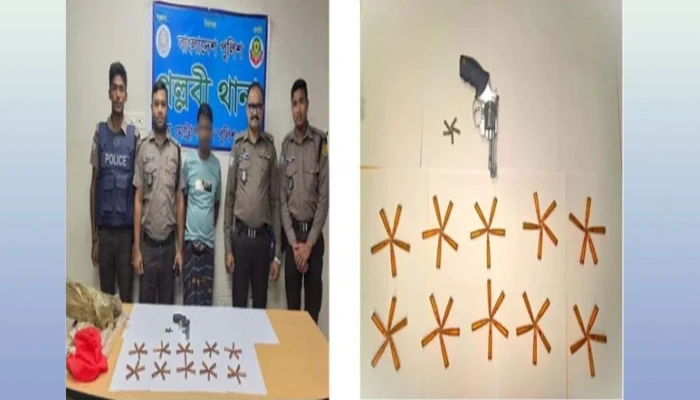 ডিএমপির অভিযানে ব্রাজিলিয়ান রিভলবারসহ বিপুল গুলি উদ্ধার