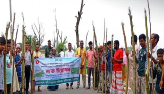 ​রাণীশংকৈলে পুষ্টি নিরাপত্তা ও অর্থনীতি শক্তিশালী করতে সজিনা চাষের রোপণ কার্যক্রমের উদ্বোধন