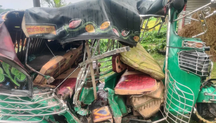 নেত্রকোনায় বাস চাপায় সিএনজির দুই যাত্রী নিহত