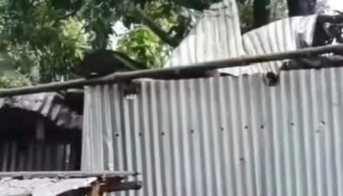 তানোরে ভোরের আকস্মিক ঝড়ে উড়ে গেছে বাড়ি ঘরের টিনের চালা