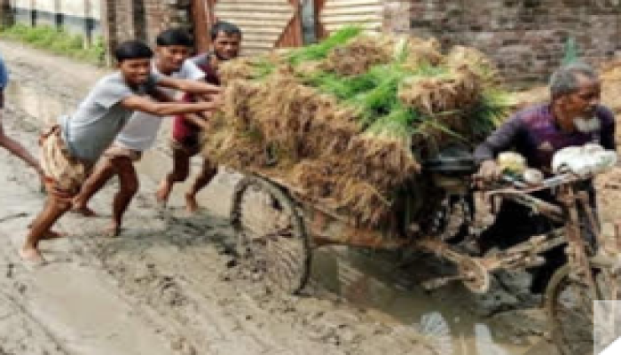 পাঁচ গ্রামের মানুষের সীমাহীন দুর্ভোগ, হাঁটুসমান কাদা,দেখার কেউ নেই।