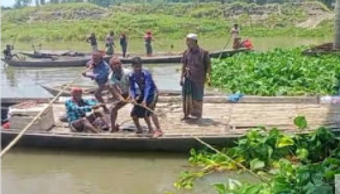 বিকেল হলেই সলঙ্গায় ভাসমান কচুরিপানার স্তুপ দেখতে মানুষের ভীর, নিরাপত্তার কথা ভেবে অপসারণ করলেন প্রশাসন