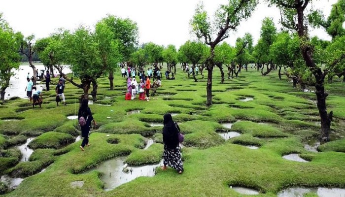 দখল, দূষণ ও অব্যবস্থাপনায় সৌন্দর্য হারাচ্ছে গুলিয়াখালী সমুদ্রসৈকত