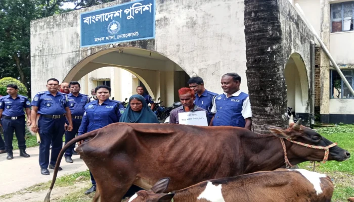 মদনে গরু চুরির ঘটনায় স্বামী-স্ত্রী কারাগারে