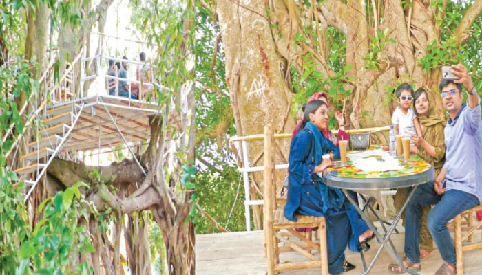 বটগাছের ডালে রেস্টুরেন্ট