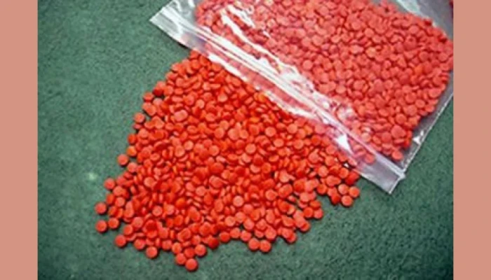 রামুতে ১ লাখ পিস ইয়াবা উদ্ধার, অভিযুক্ত পালাতক