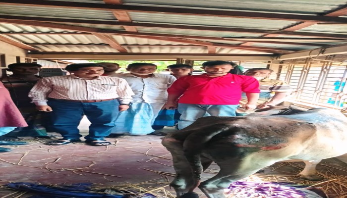 কেন্দুয়ায় অগ্নিকাণ্ডে কৃষকের গোয়ালঘর পুড়ে ছাই, ক্ষতিগ্রস্তদের পাশে বিএনপি