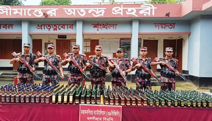 বিজিবির অভিযানে ভারতীয় মদ জব্দ