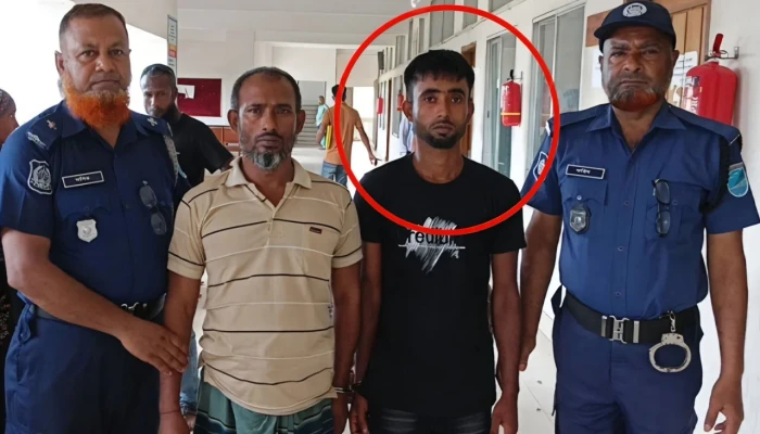 ফরিদপুরে যৌতুকের দাবিতে স্ত্রীকে হত্যা, স্বামীর যাবজ্জীবন
