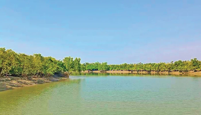 অপহরণ-মুক্তিপণ আতঙ্কে সুন্দরবনের উপকূলবাসী