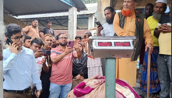 কুড়িগ্রামের রাজারহাটে অভিযানে ৩৮ কেজি পচা মহিষের মাংস জব্দ, বিক্রেতা পলাতক