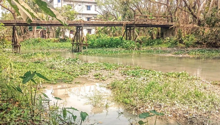 অস্তিত্বসংকটে পটুয়াখালীর নদী-খাল