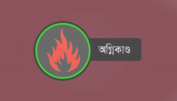 রাজধানীতে চিপস তৈরির কারখানায় আগুন, দগ্ধ দুজনের মৃত্যু