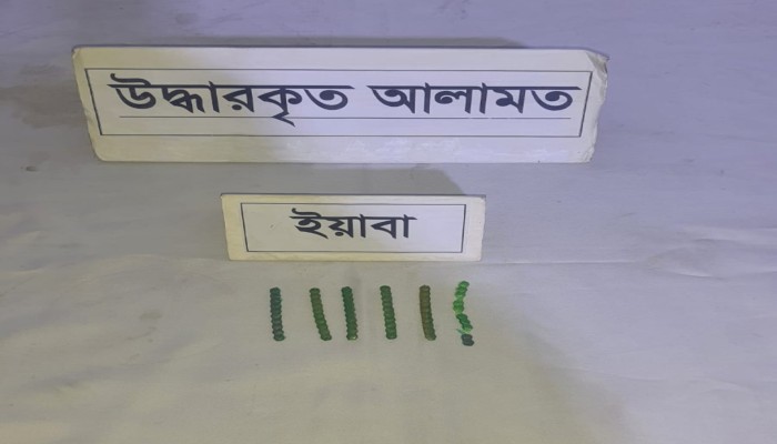 ঢাকার দক্ষিণ কেরানীগঞ্জ থানা এলাকা হতে প্রায় ১৮ হাজার টাকা মূল্যমানের ৬০ পিস ইয়াবা’সহ ০১ জন মাদক ব্যবসায়ীকে গ্রেফতার করেছে র‌্যাব-১০