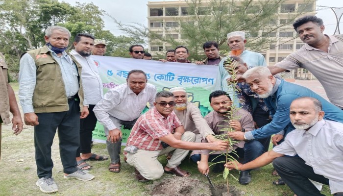 ৫ বছরে ২৫ কোটি বৃক্ষরোপণ কর্মসূচির উদ্বোধন গলাচিপায়