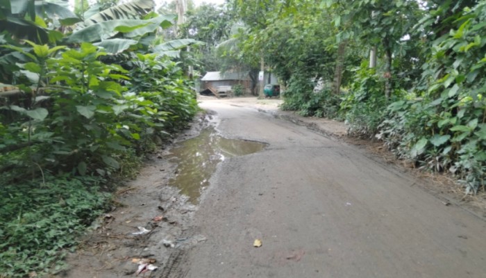 রায়গঞ্জের গ্রামপাঙ্গাসী হাটপাঙ্গাসী সড়কে গর্ত যানচলাচলে ভোগান্তি