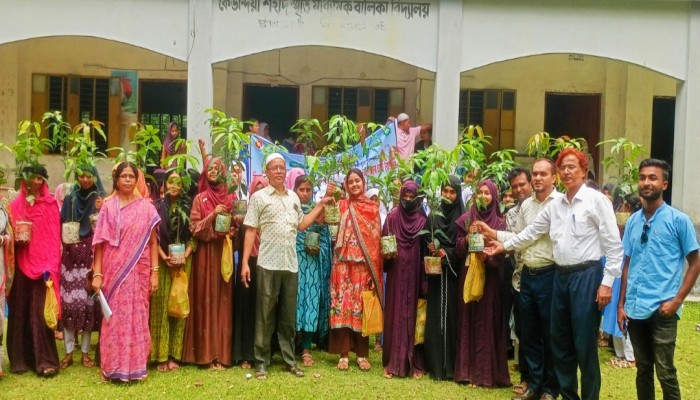 কাউখালীতে বিআরডিবির উদ্যোগে কিশোরীদের সঞ্চয় সচেতনতা প্রশিক্ষণ, চেক ও ফলজ গাছের চারা বিতরণ