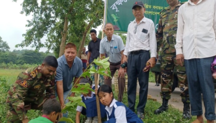 সবুজ ভবিষ্যৎ গড়তে রাজস্থলীতে সেনাবাহিনীর বিশেষ উদ্যোগ