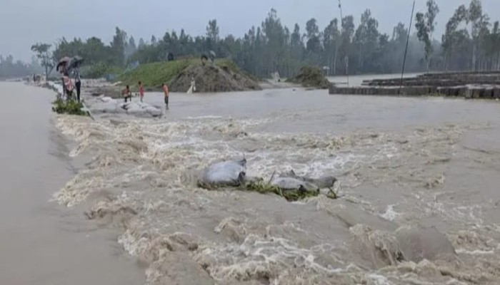 কুড়িগ্রামে বাঁধ ভেঙে পানিবন্দি ২০ গ্রামের মানুষ