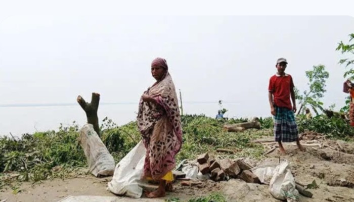 এখন নিঃস্ব হইয়া গেছি। কোনোমতে খায়া না খায়া দিন কাটাই