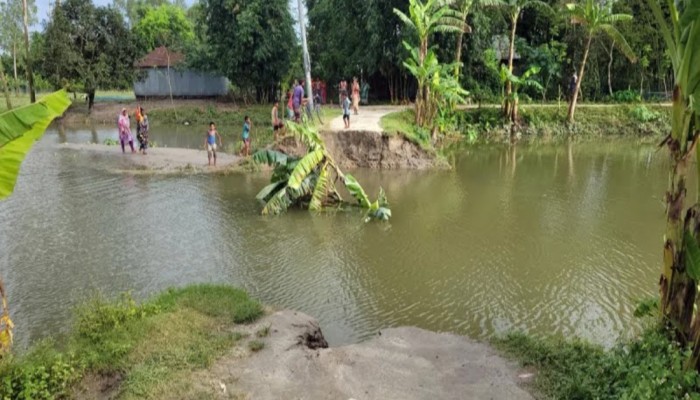 ধরলার তীব্র স্রোতে ভেসে গেছে কালভার্ট, ভোগান্তিতে পাঁচ শতাধিক পরিবার