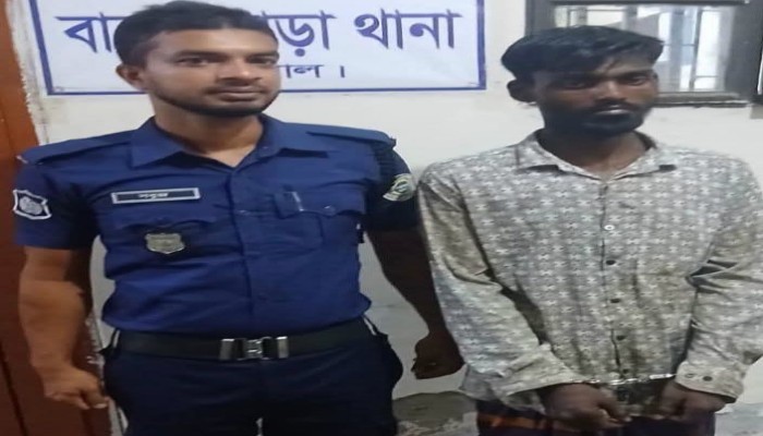 বানারীপাড়ায় ১০৫ পিস ইয়াবাসহ মাদক কারবারি গ্রেপ্তার