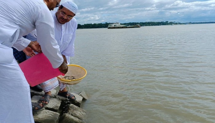 পরিবেশ রক্ষা ও জীববৈচিত্র্য সংরক্ষণে সবাইকে এগিয়ে আসতে হবে : পীর সাহেব চরমোনাই