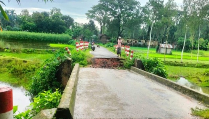 কুড়িগ্রামের উলিপুরে ব্রিজ দেবে যান চলাচল বন্ধ